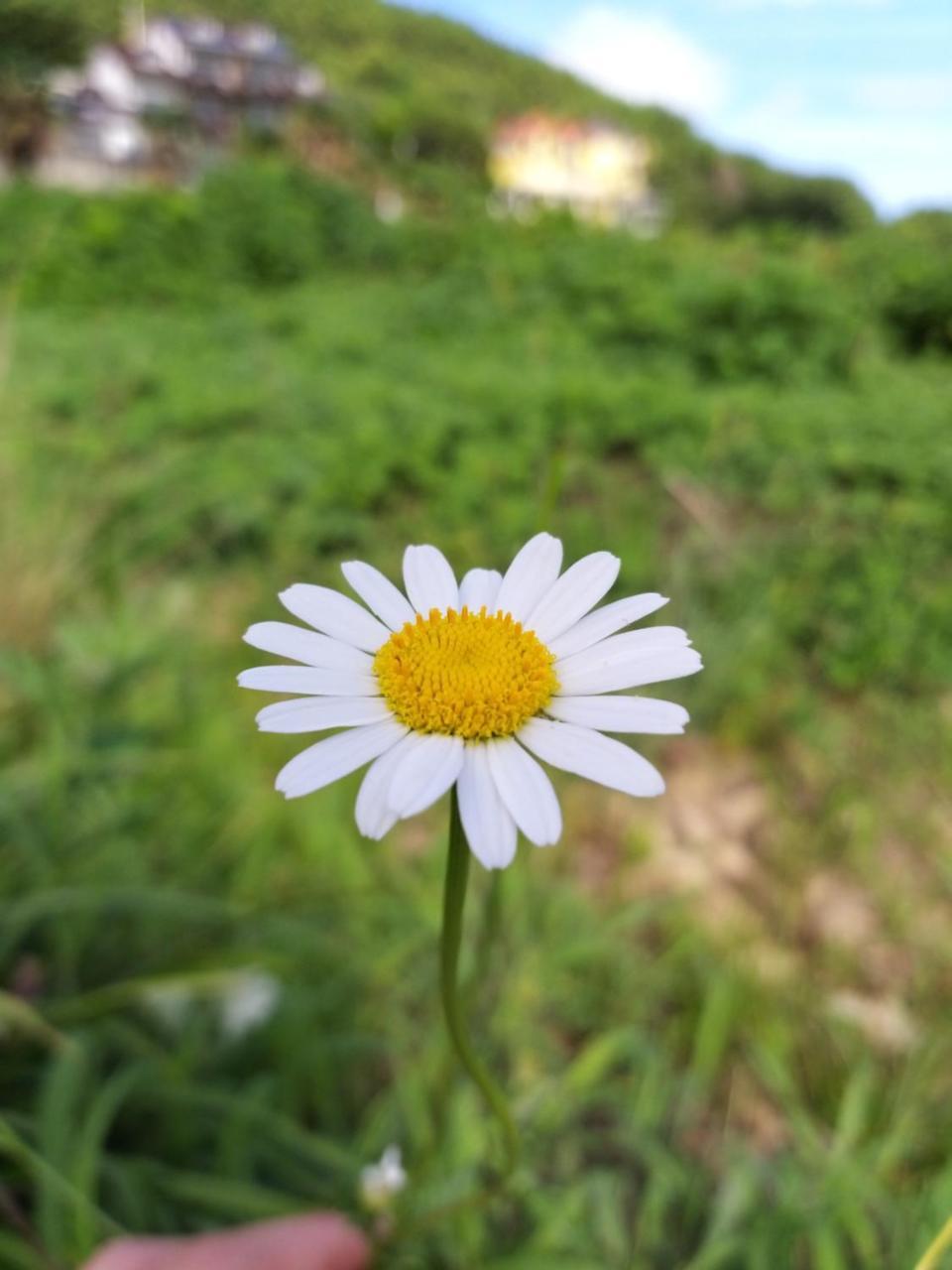 Oneday In Geoje Vila Exterior foto